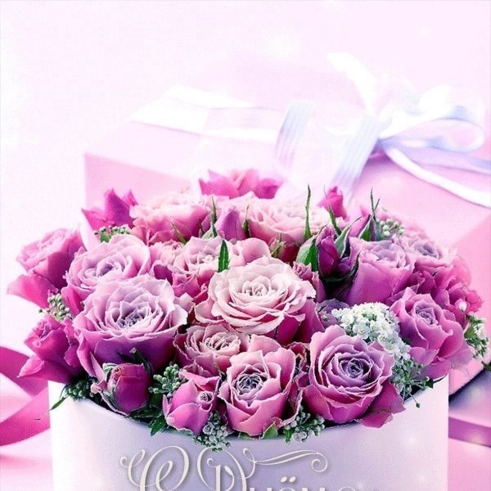 Meet your Posher, Vicky